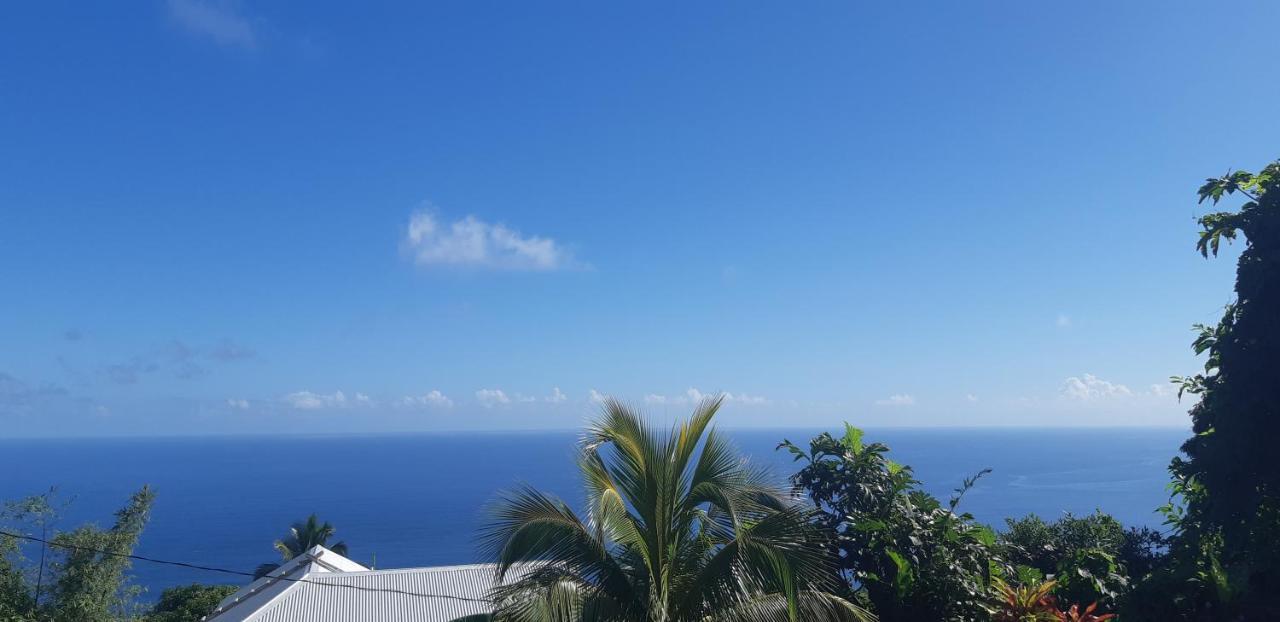 "Sunrise Inn" Nature Island Dominica Penville 外观 照片