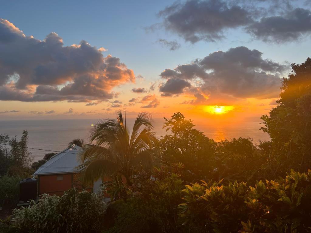 "Sunrise Inn" Nature Island Dominica Penville 外观 照片