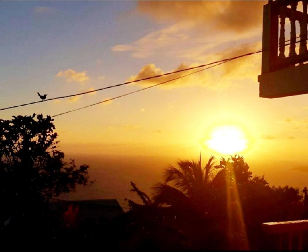 "Sunrise Inn" Nature Island Dominica Penville 外观 照片